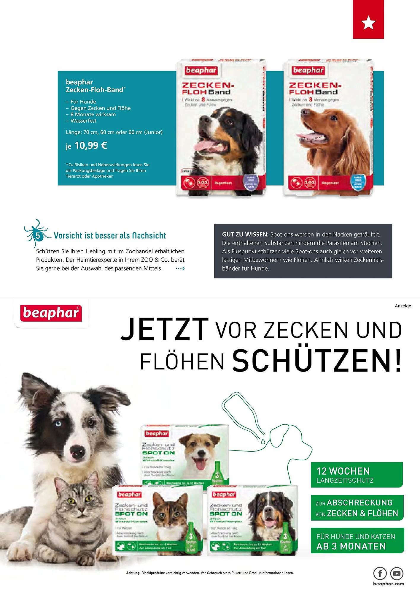 Zoo & Co Magazin – Seite 9