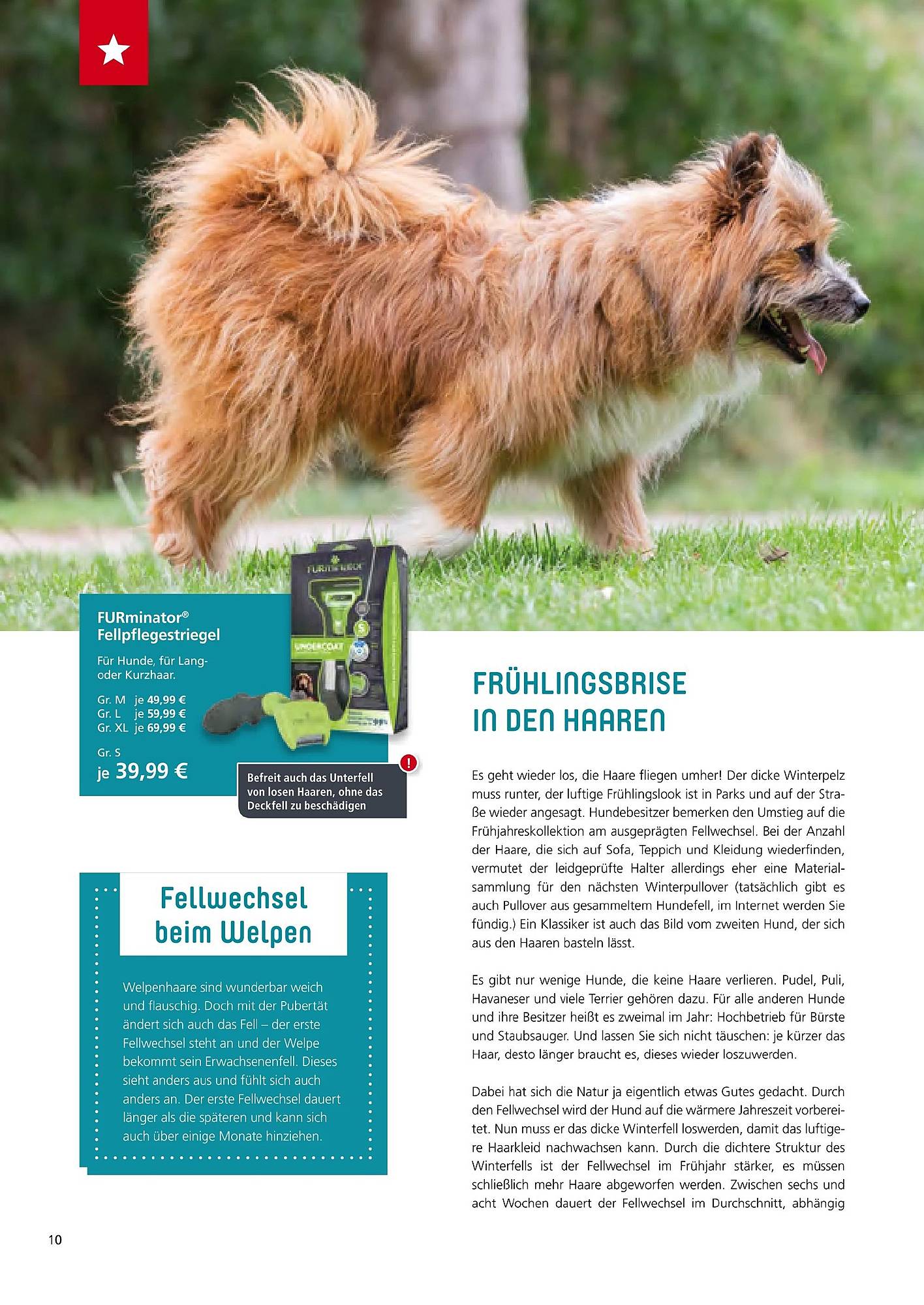 Zoo & Co Magazin – Seite 10