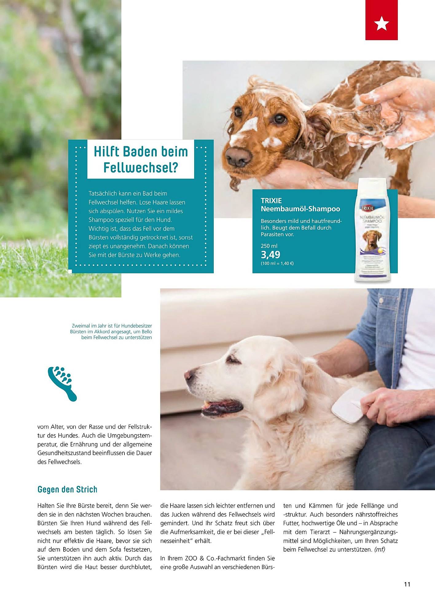 Zoo & Co Magazin – Seite 11