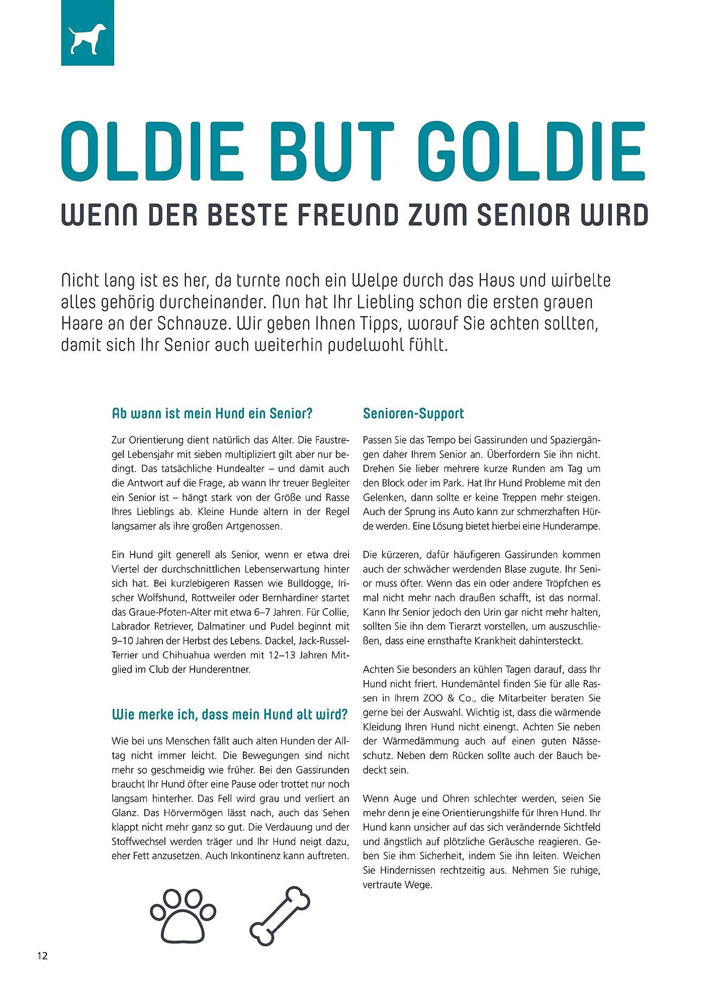 Zoo & Co Magazin – Seite 12