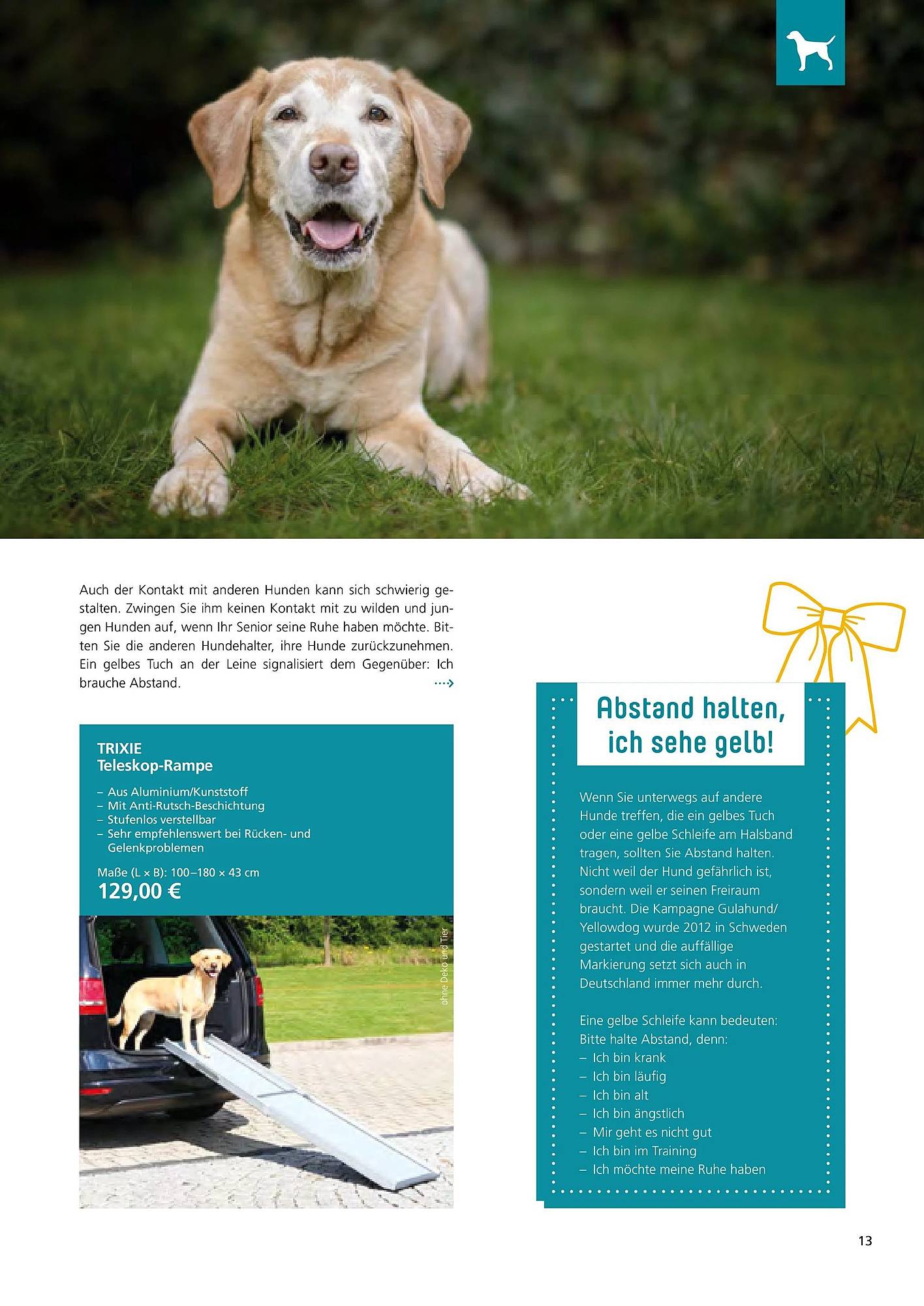 Zoo & Co Magazin – Seite 13