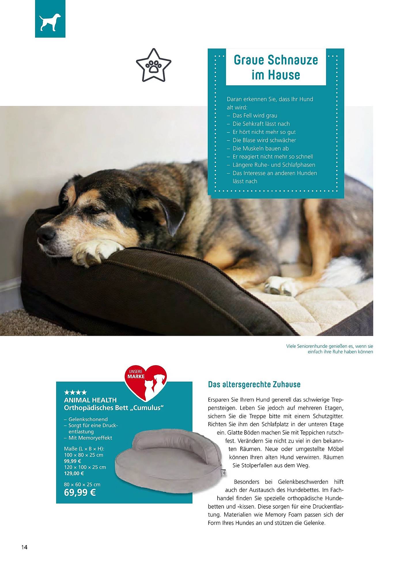 Zoo & Co Magazin – Seite 14