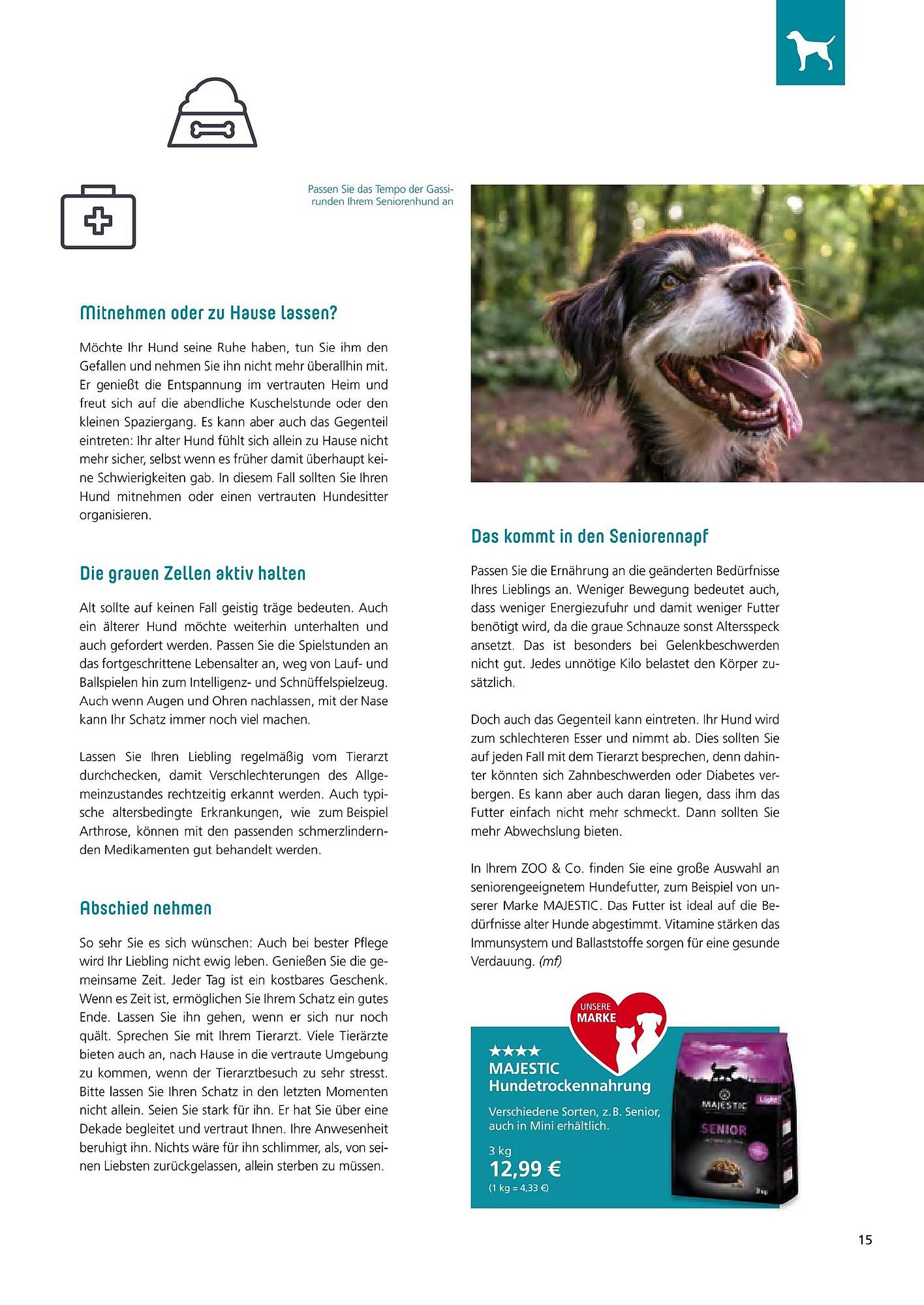 Zoo & Co Magazin – Seite 15