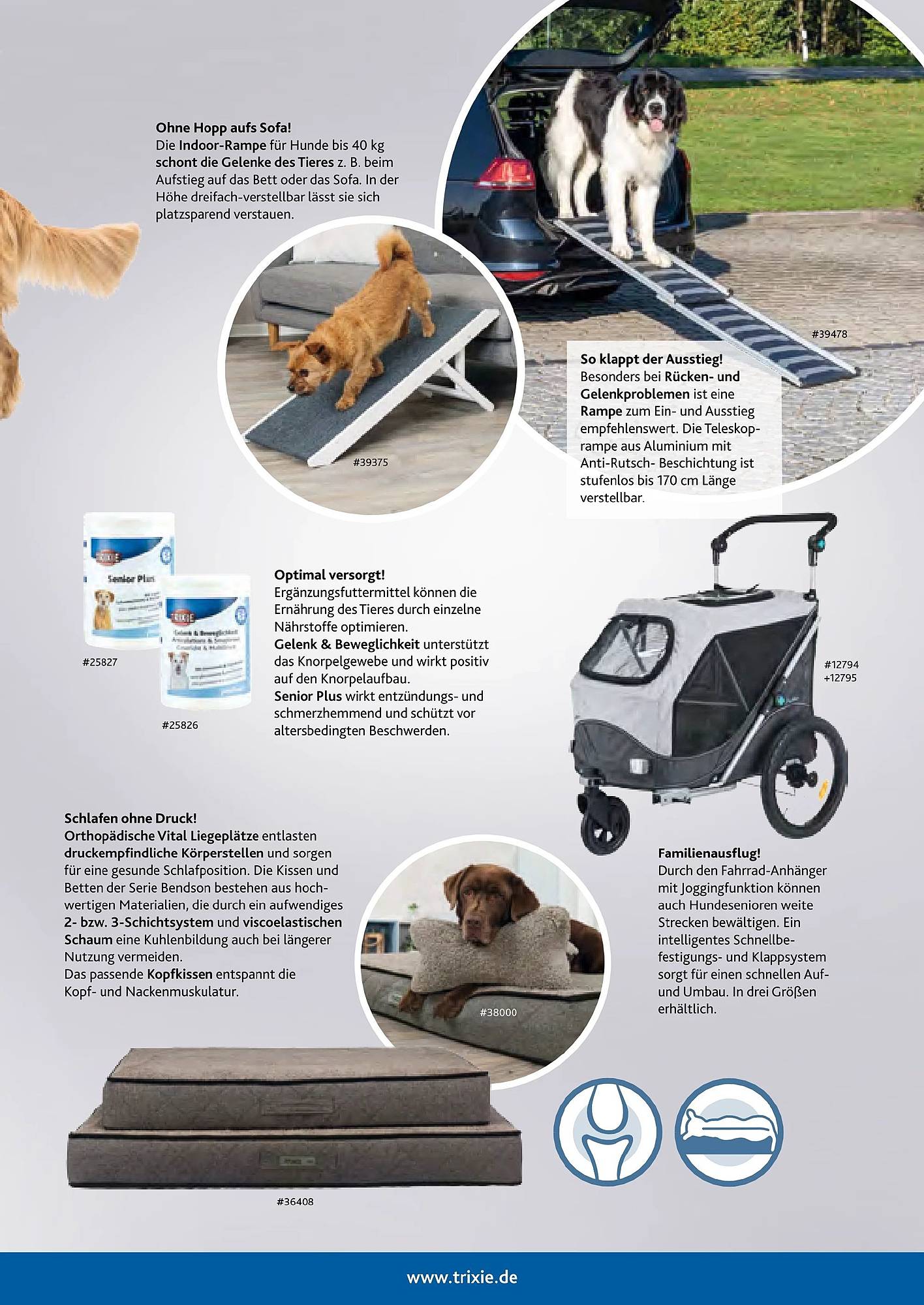 Zoo & Co Magazin – Seite 17
