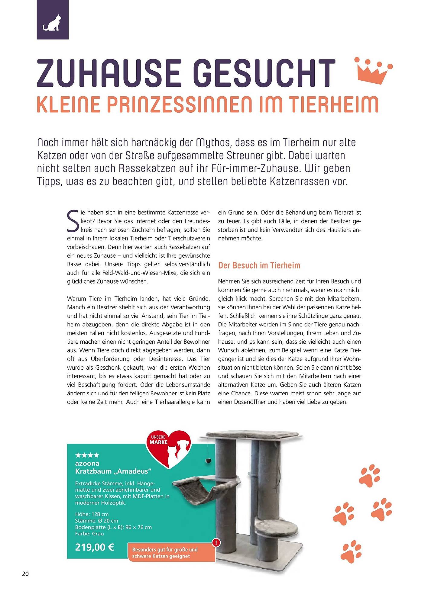 Zoo & Co Magazin – Seite 20