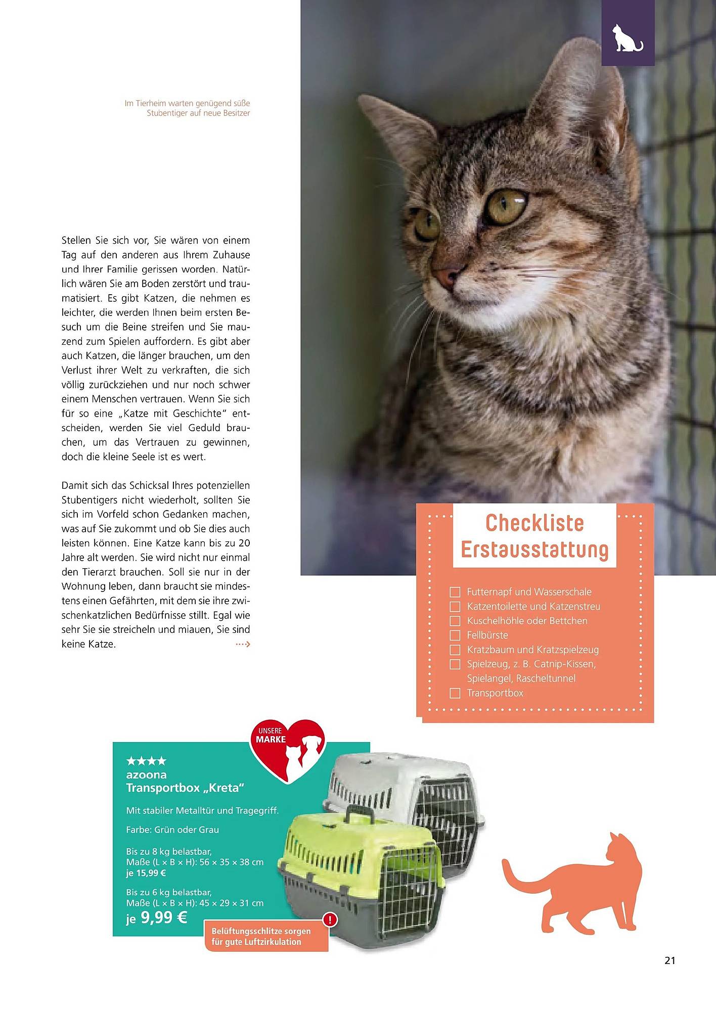 Zoo & Co Magazin – Seite 21