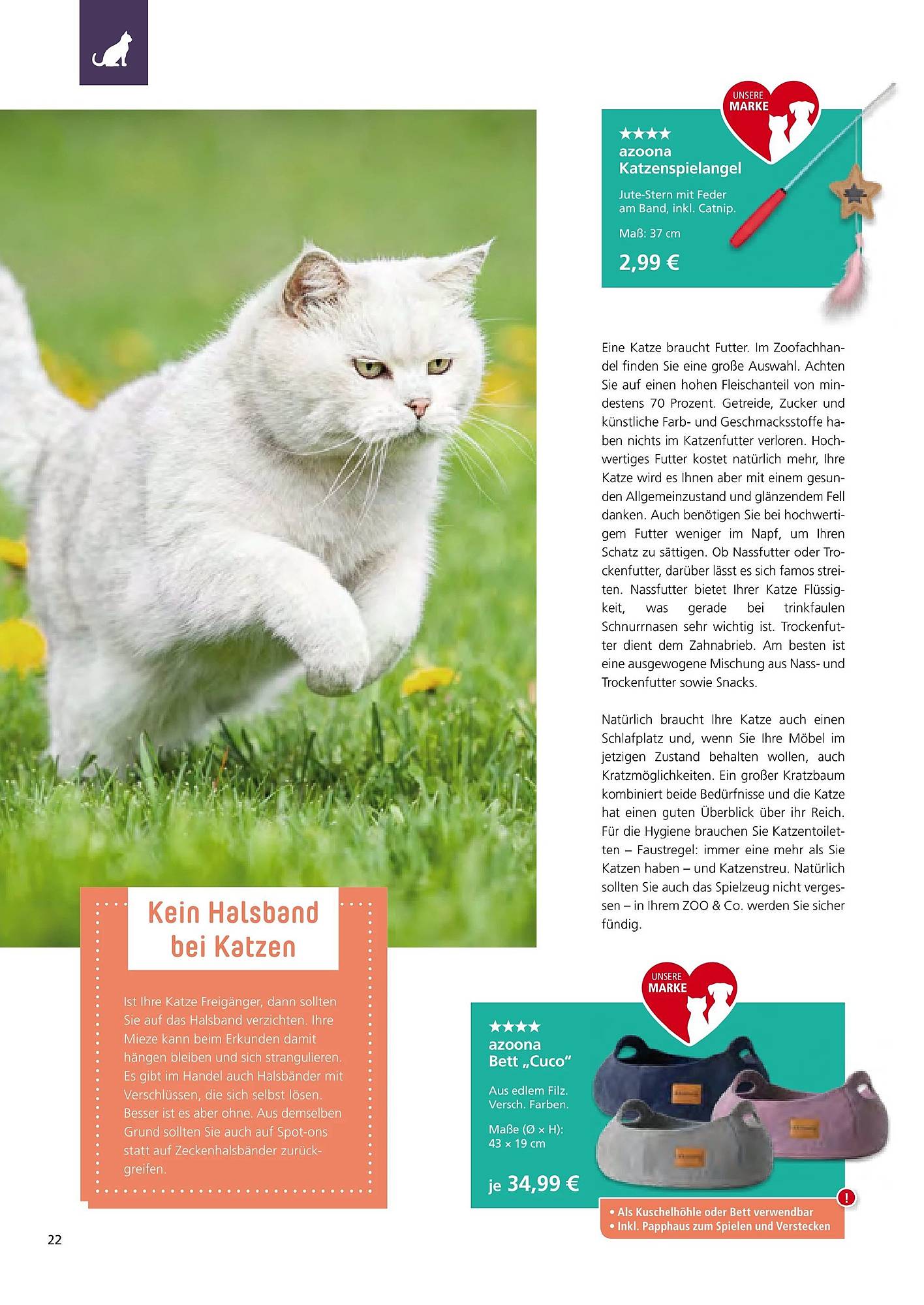 Zoo & Co Magazin – Seite 22