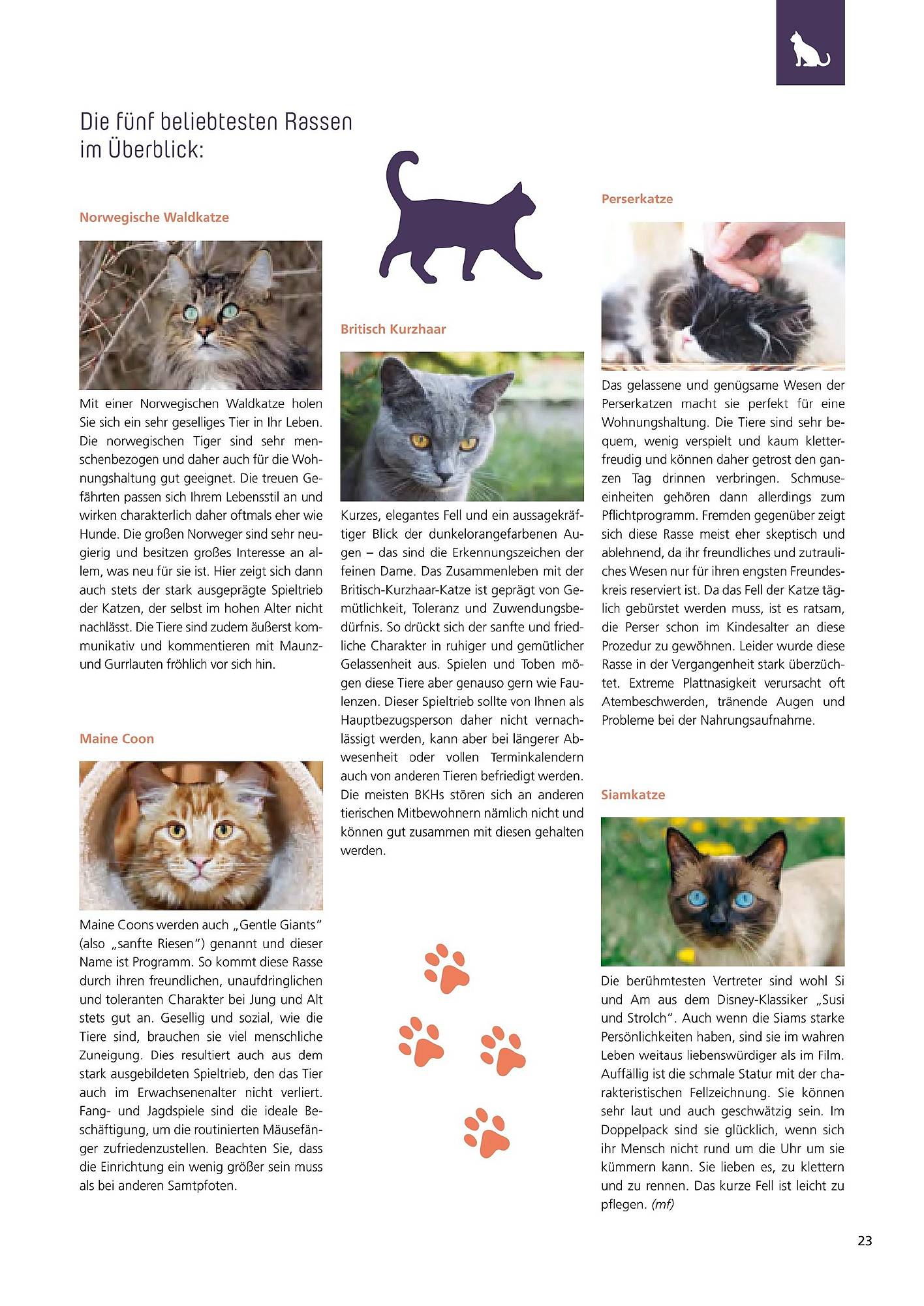 Zoo & Co Magazin – Seite 23