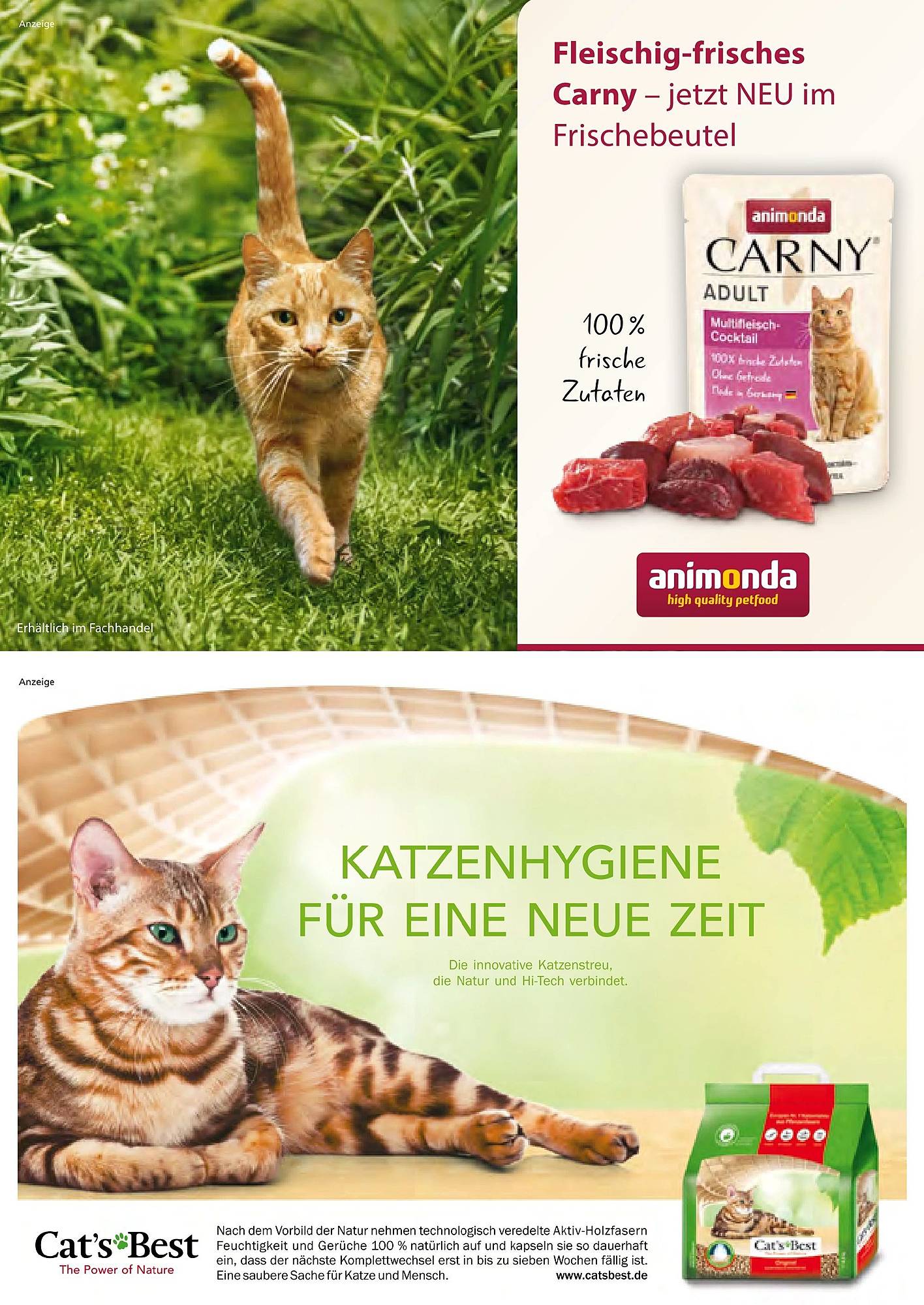 Zoo & Co Magazin – Seite 24
