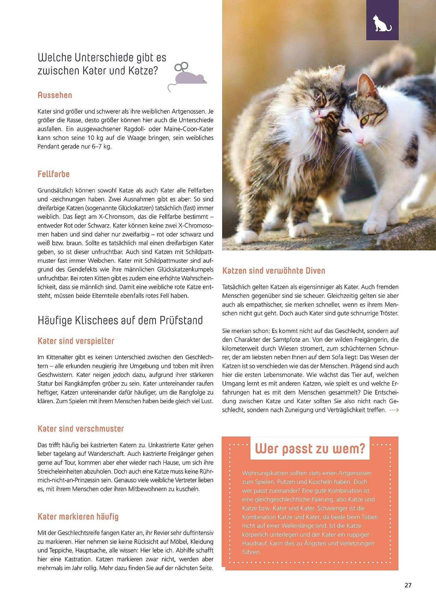 Zoo & Co Magazin – Seite 27