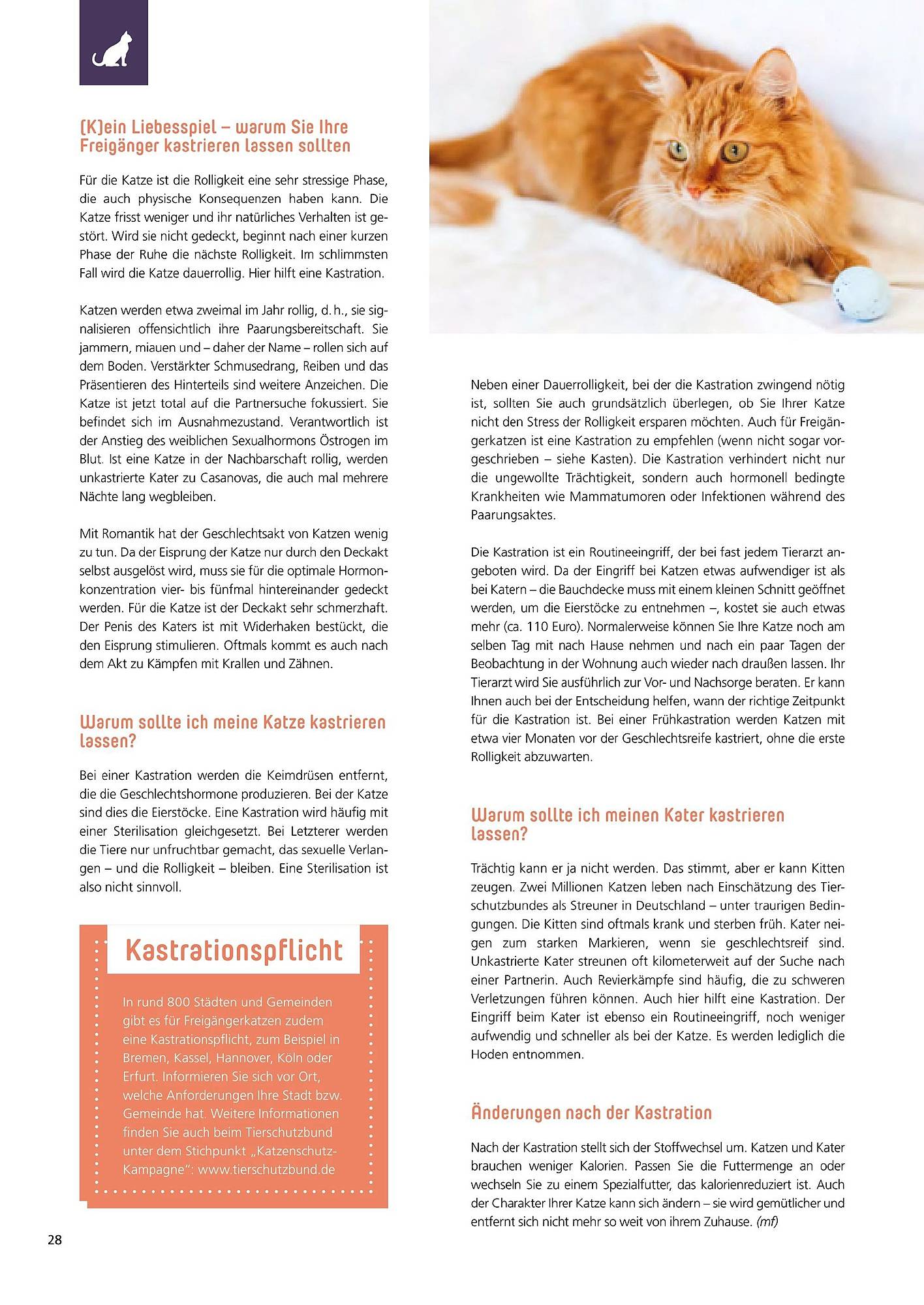 Zoo & Co Magazin – Seite 28