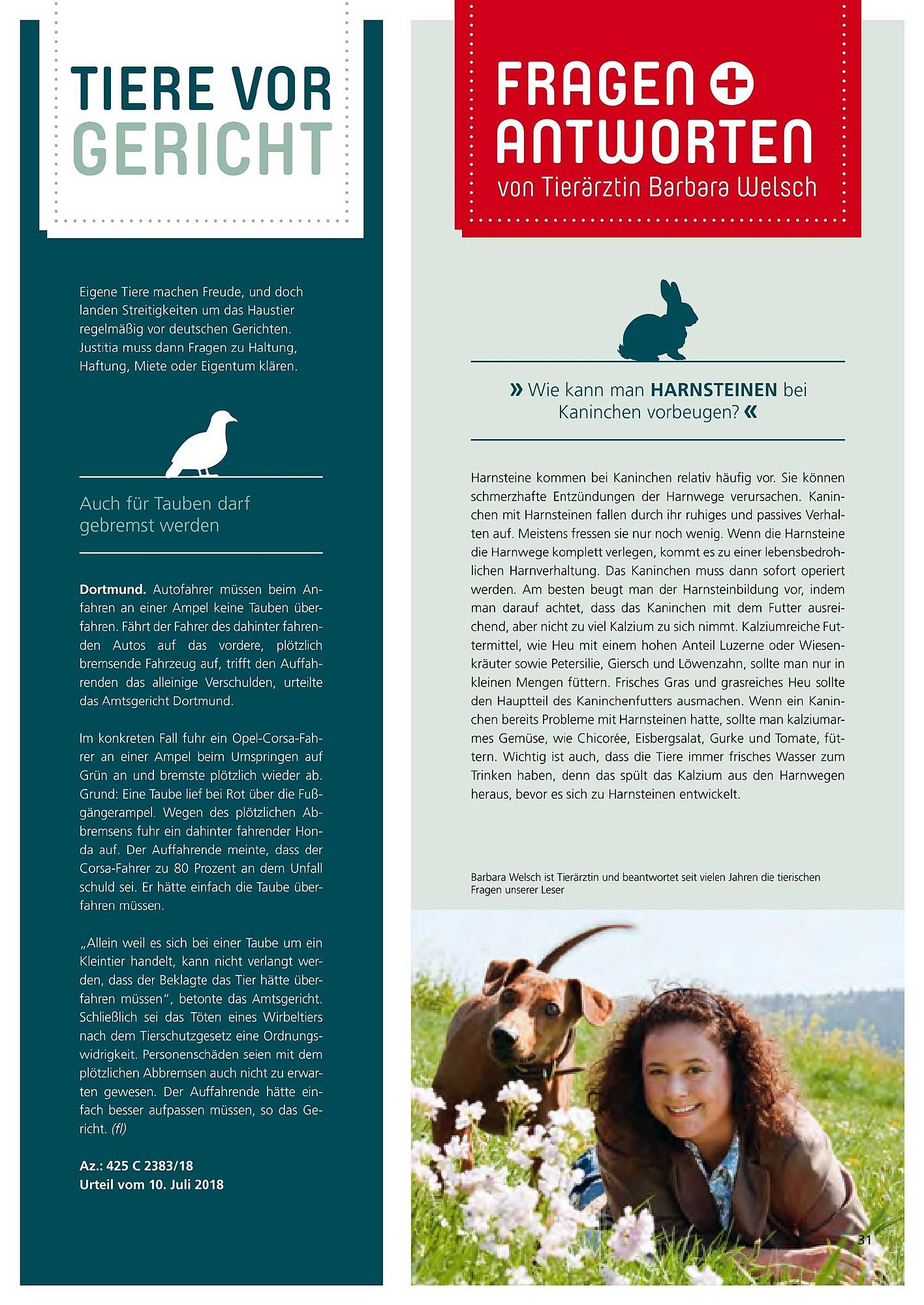 Zoo & Co Magazin – Seite 31