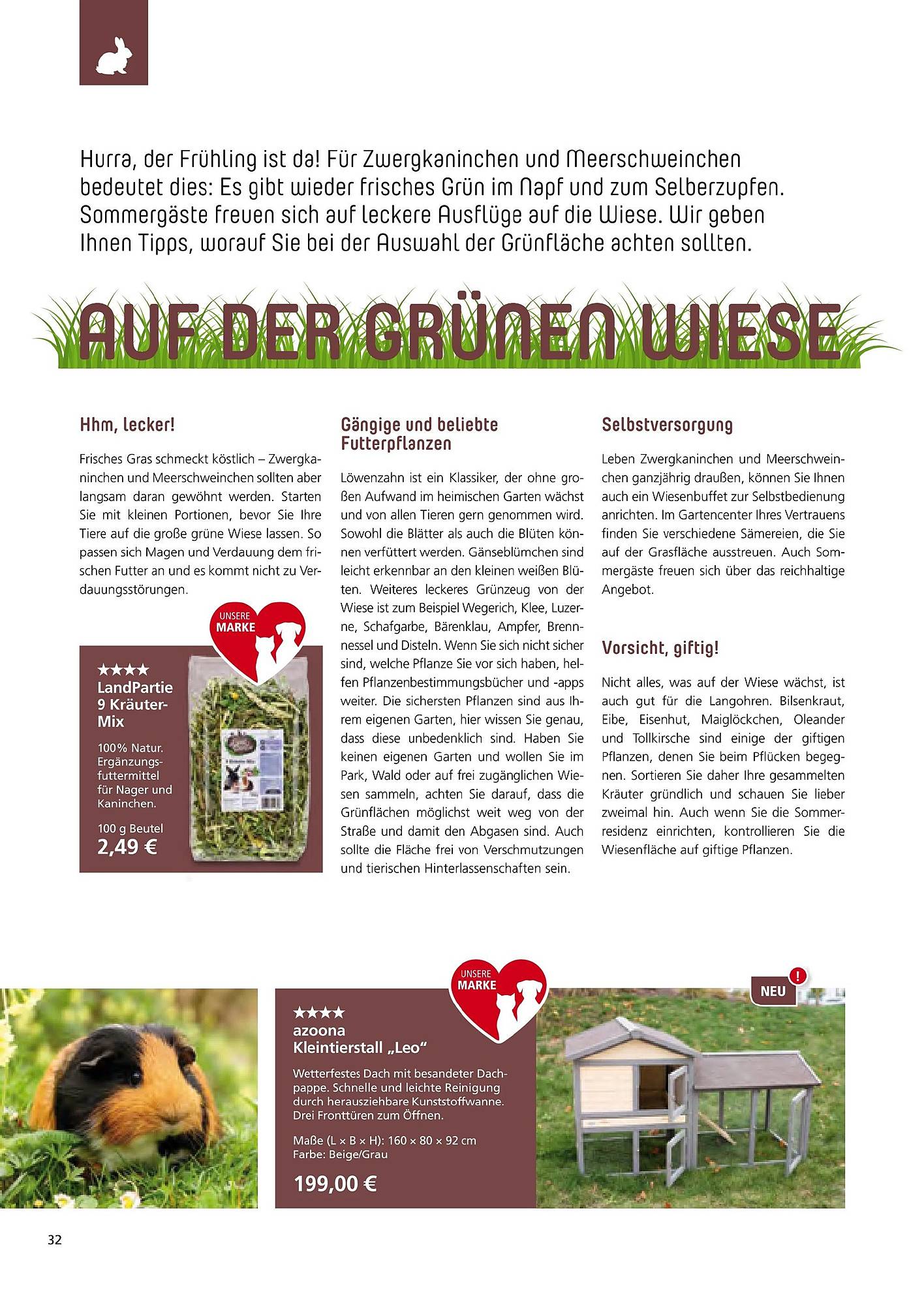 Zoo & Co Magazin – Seite 32
