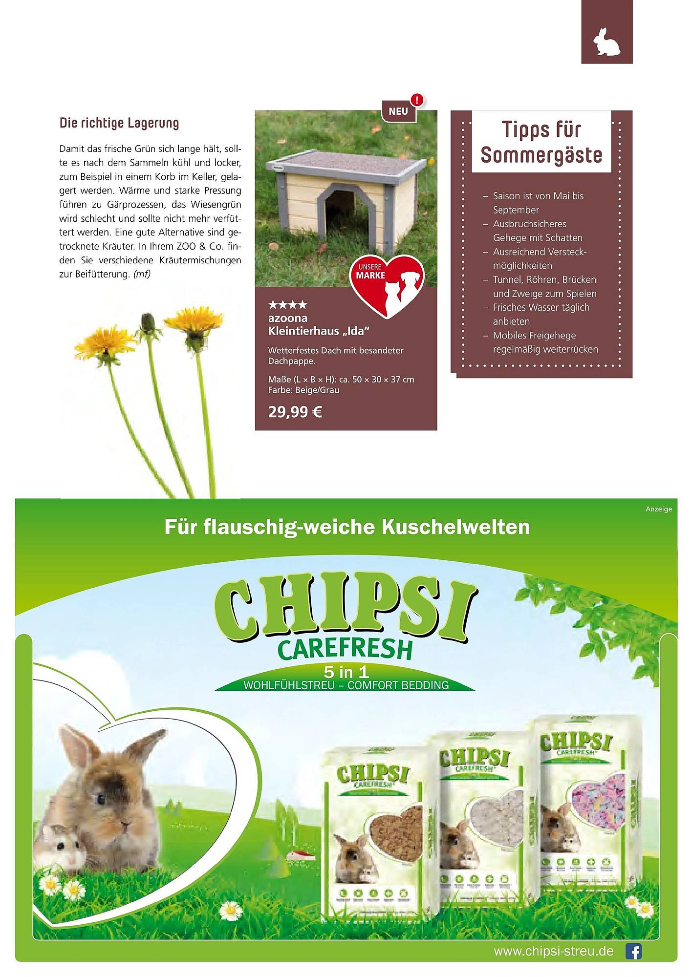 Zoo & Co Magazin – Seite 33