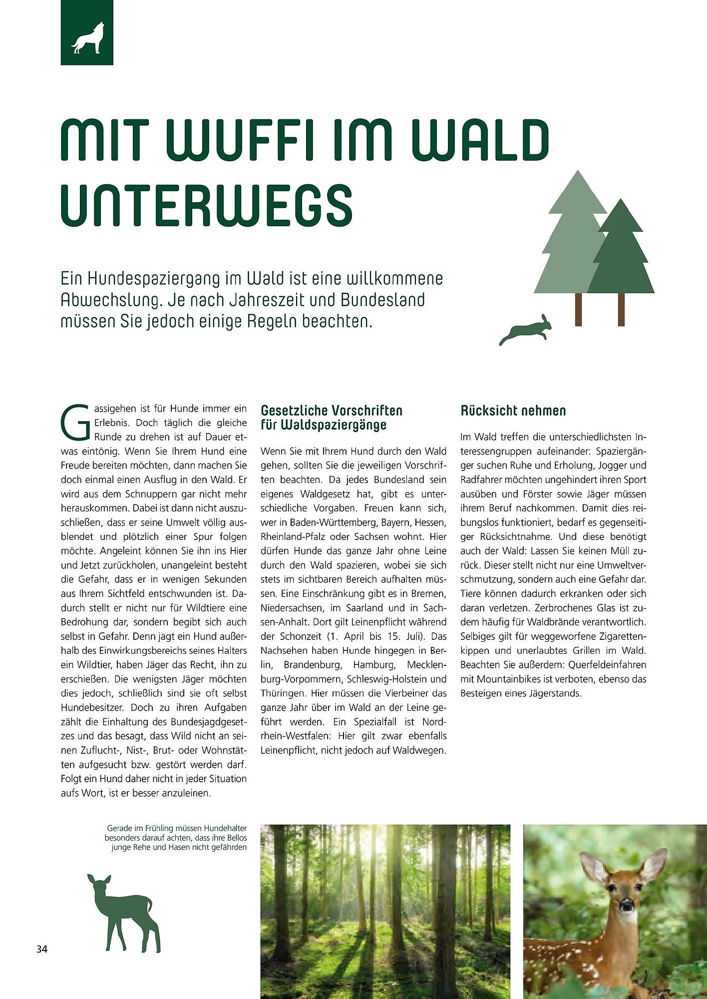Zoo & Co Magazin – Seite 34