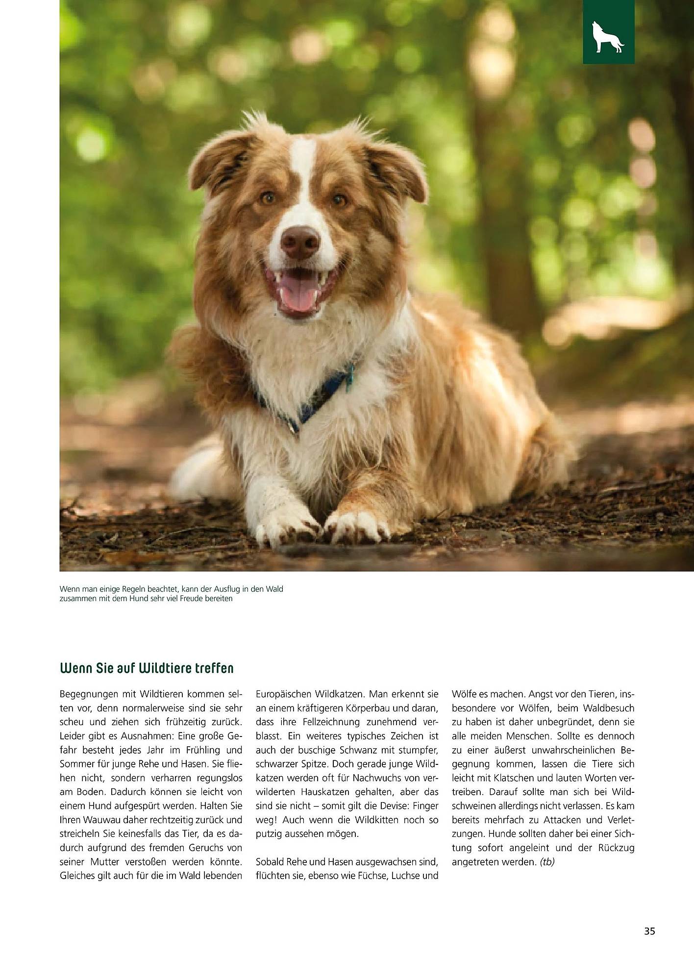 Zoo & Co Magazin – Seite 35