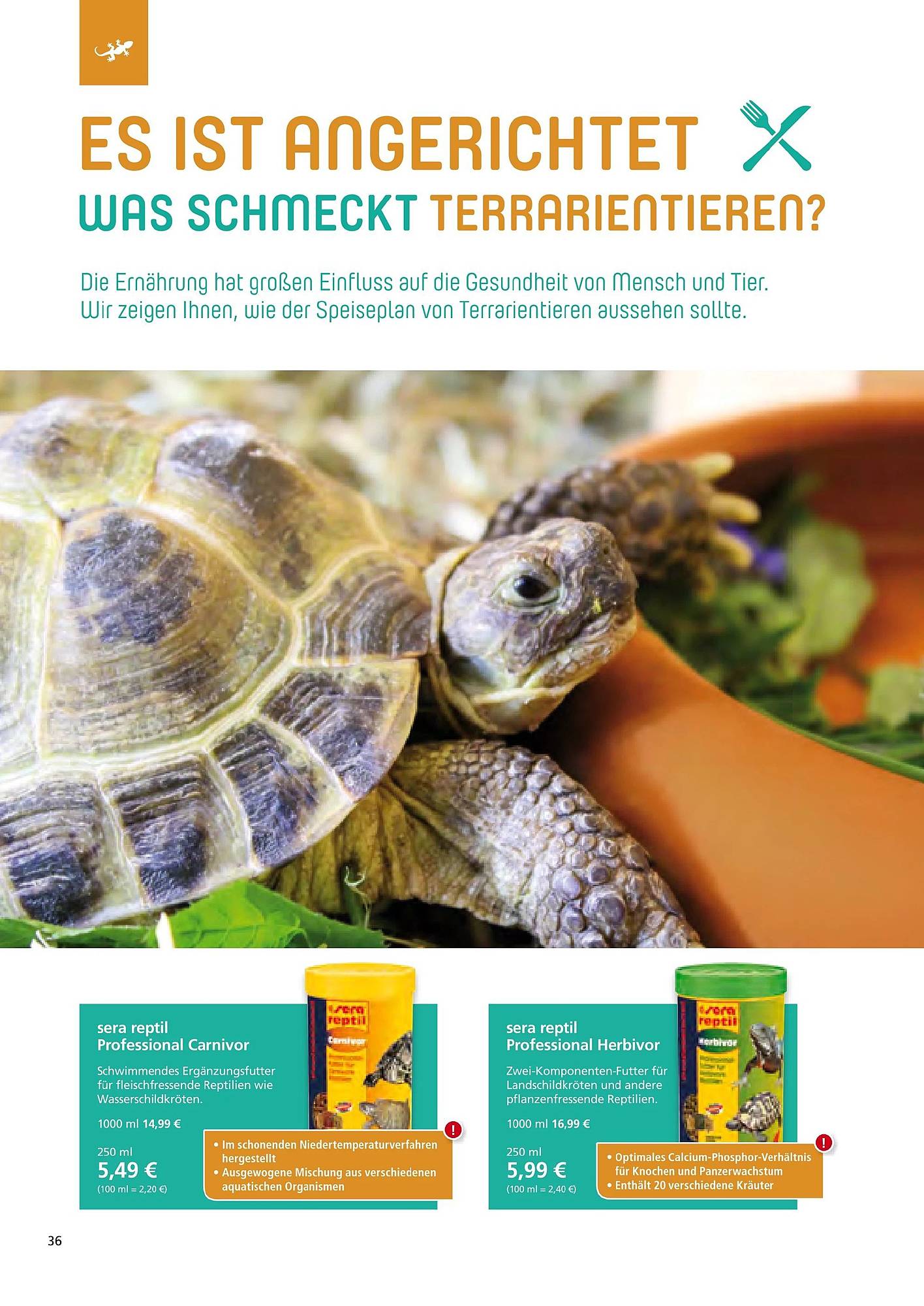 Zoo & Co Magazin – Seite 36