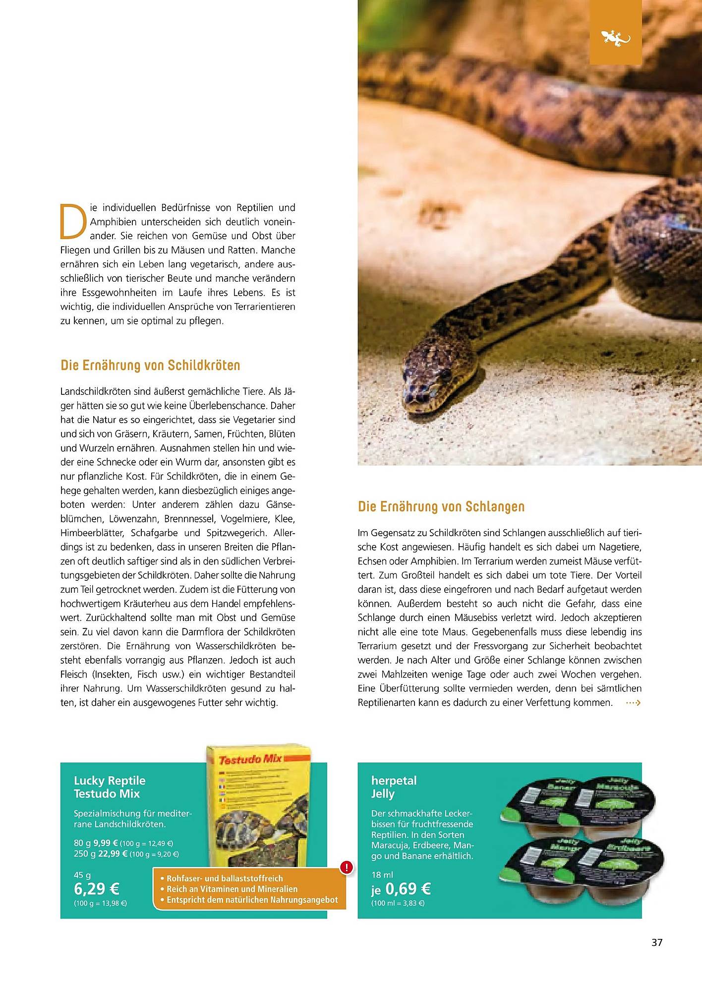 Zoo & Co Magazin – Seite 37