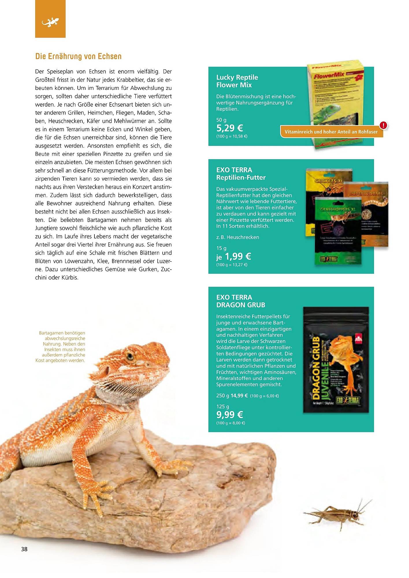 Zoo & Co Magazin – Seite 38