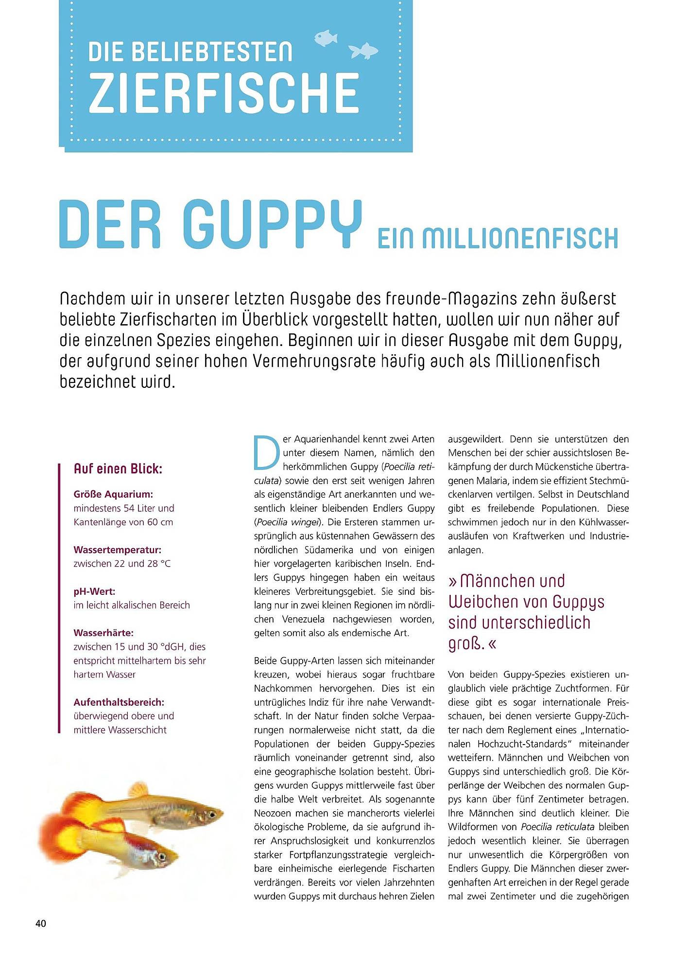 Zoo & Co Magazin – Seite 40