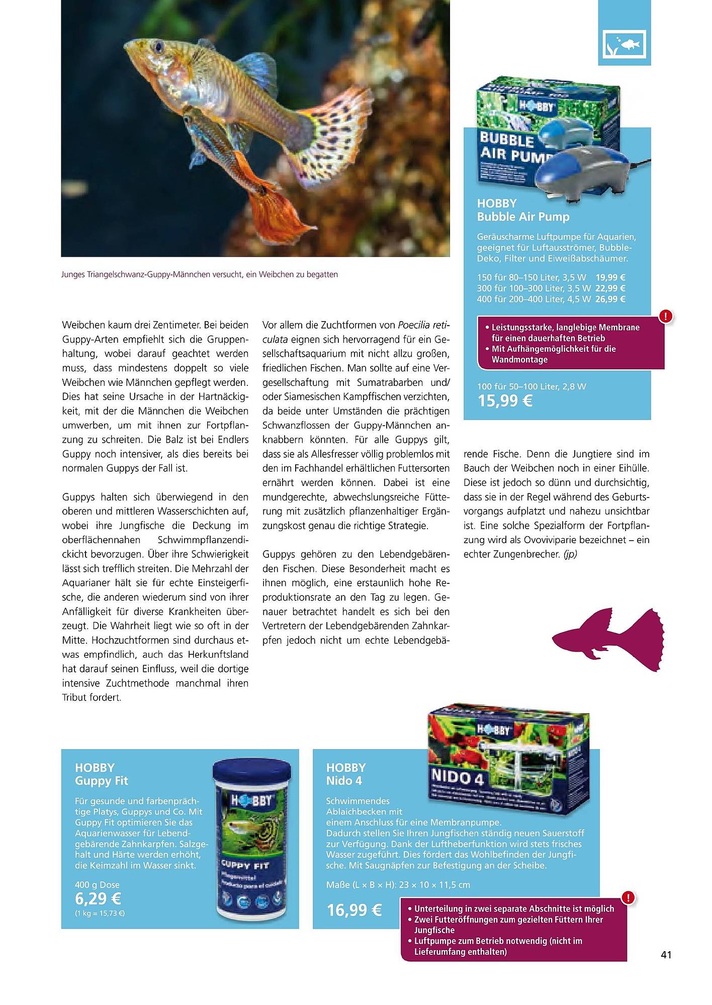 Zoo & Co Magazin – Seite 41