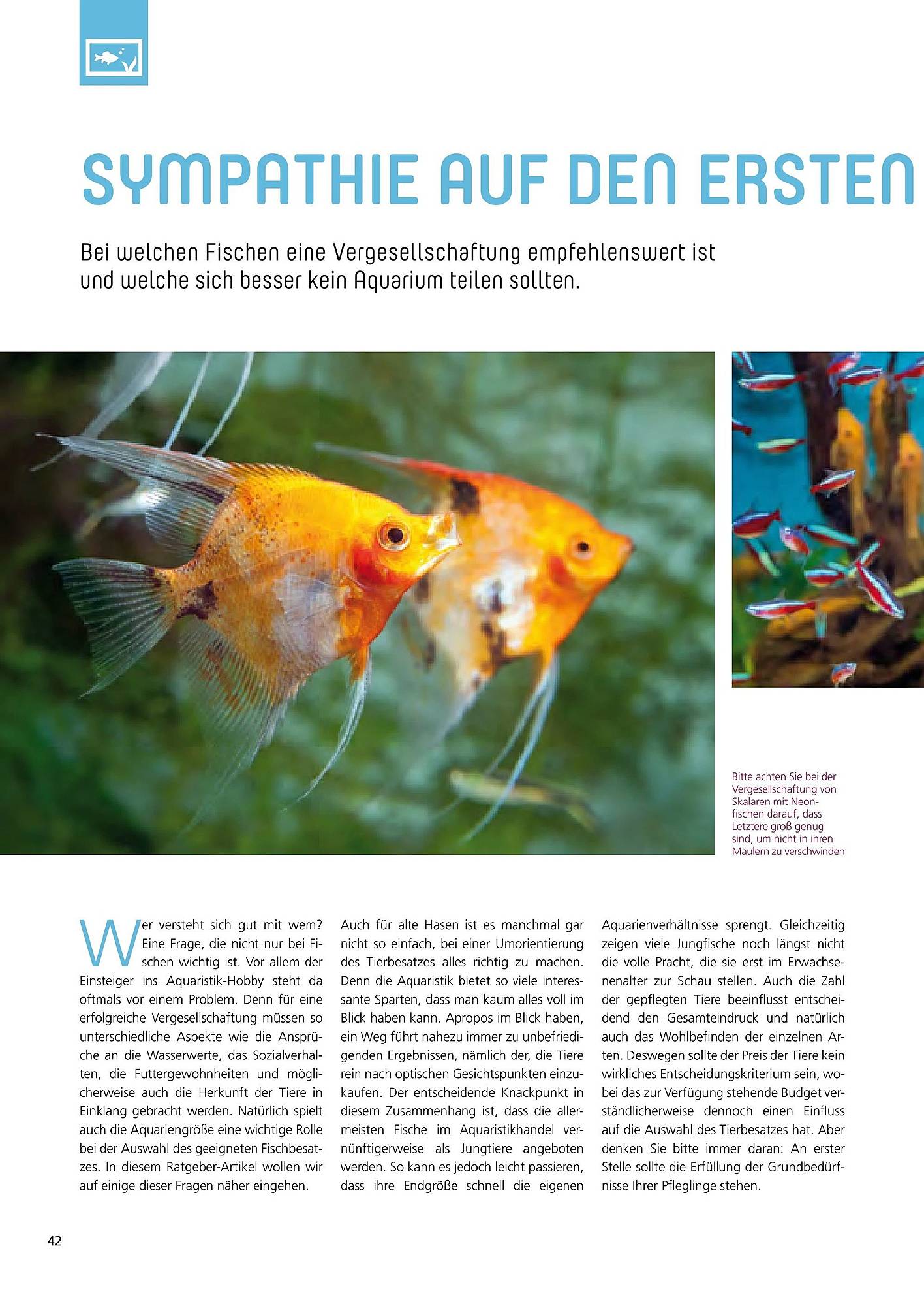 Zoo & Co Magazin – Seite 42