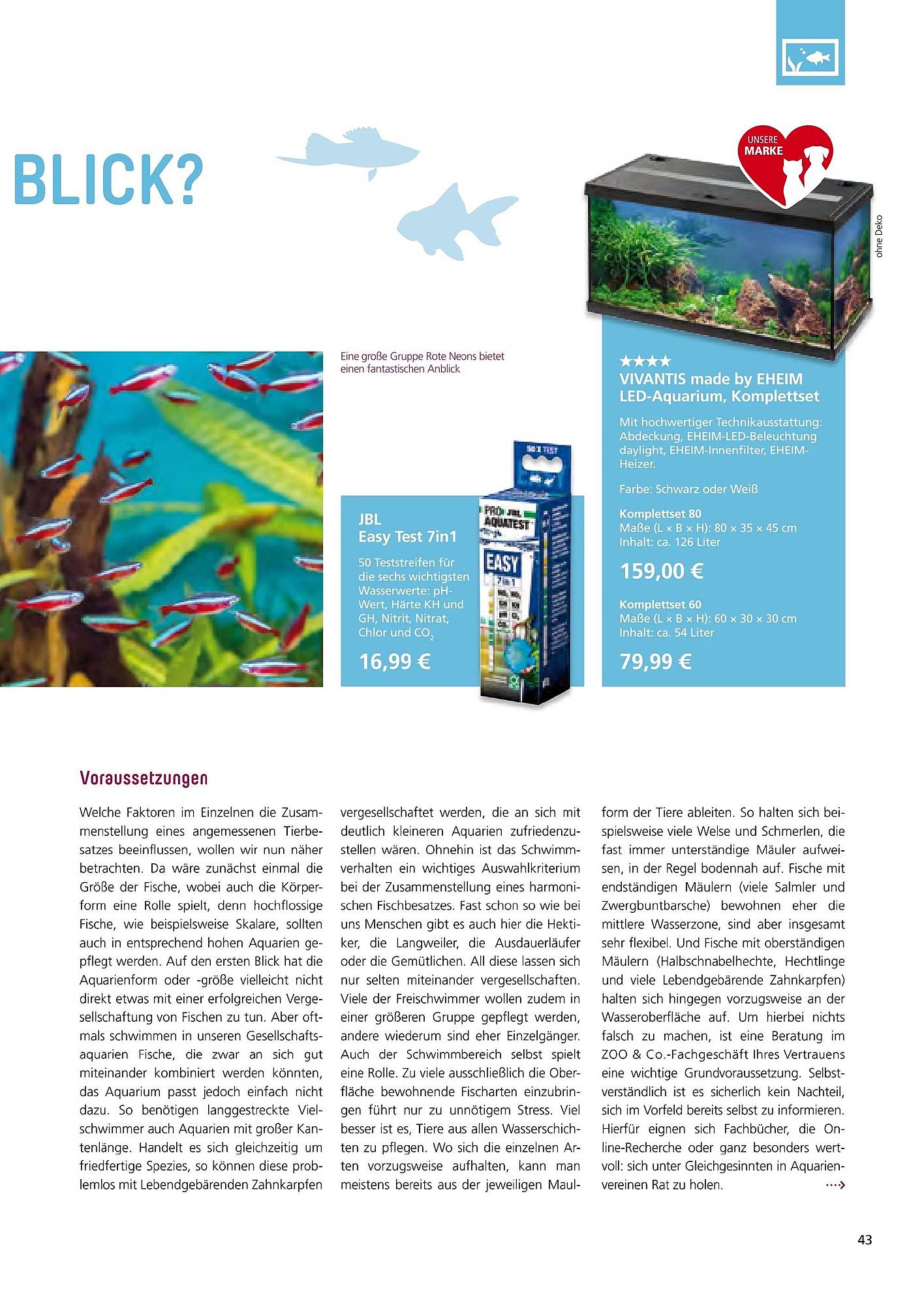 Zoo & Co Magazin – Seite 43
