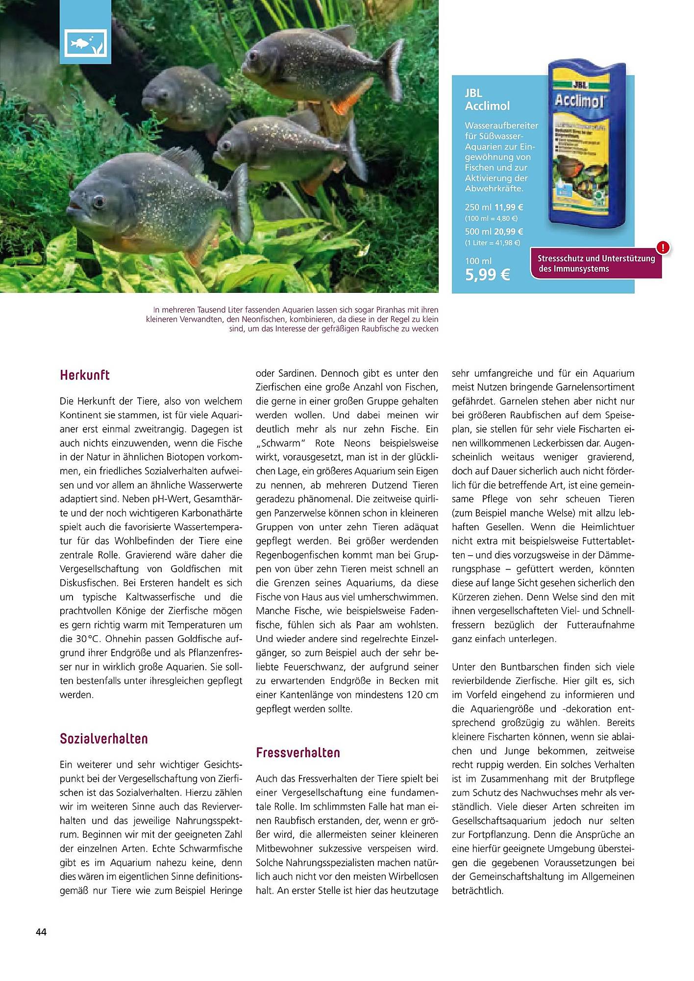 Zoo & Co Magazin – Seite 44