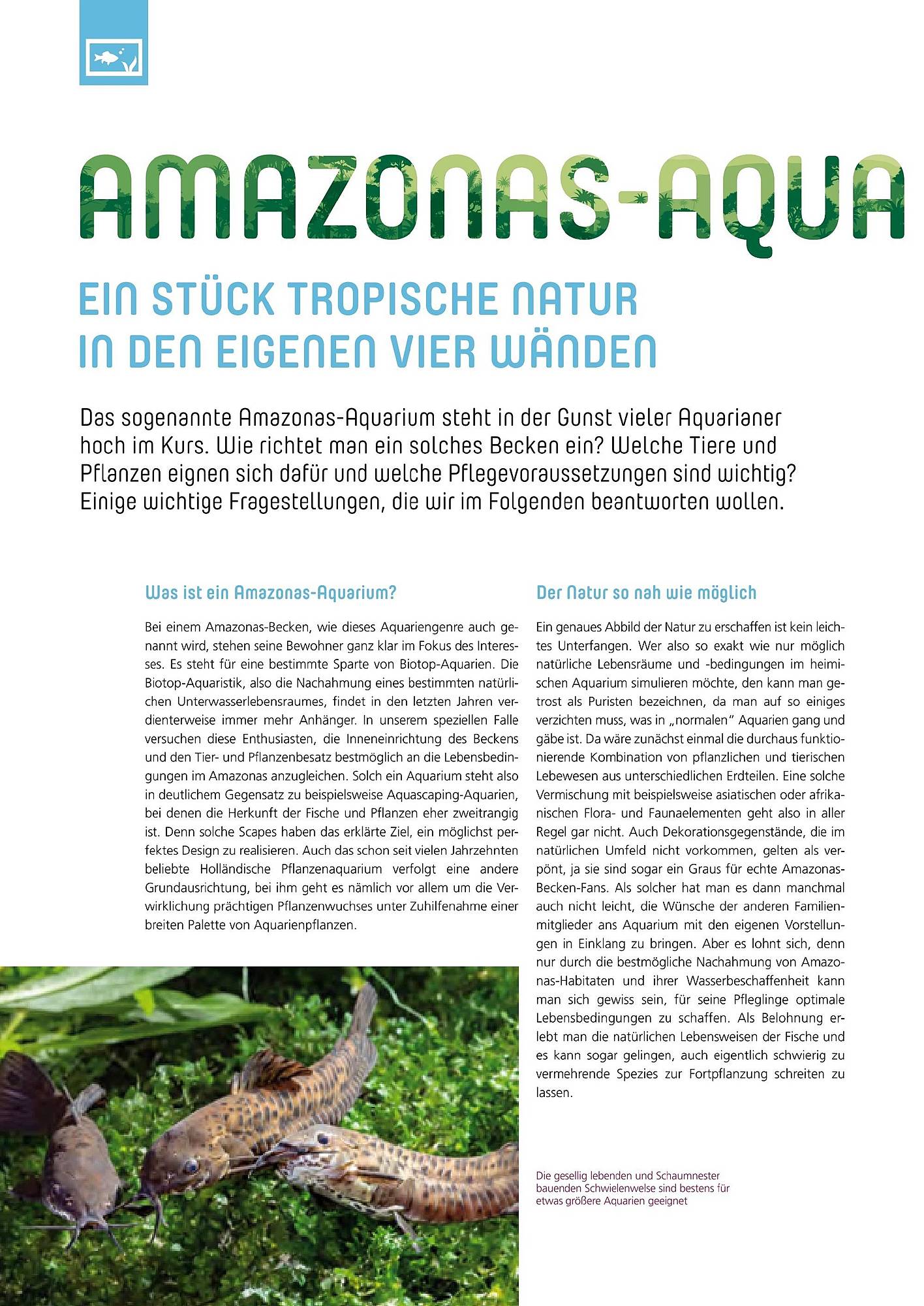 Zoo & Co Magazin – Seite 46