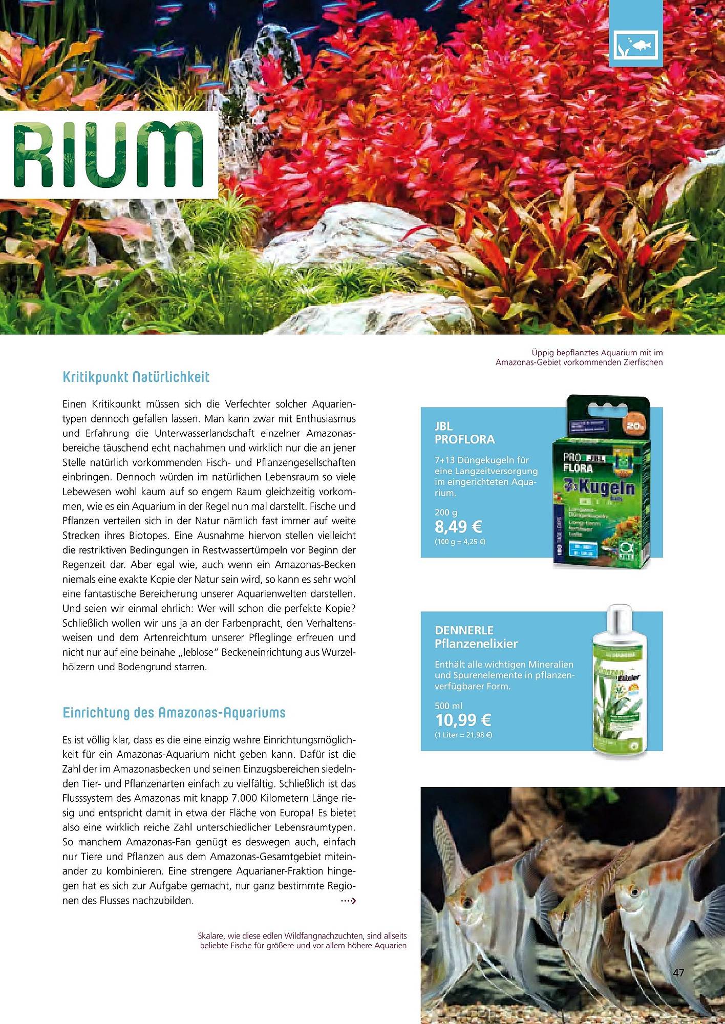 Zoo & Co Magazin – Seite 47