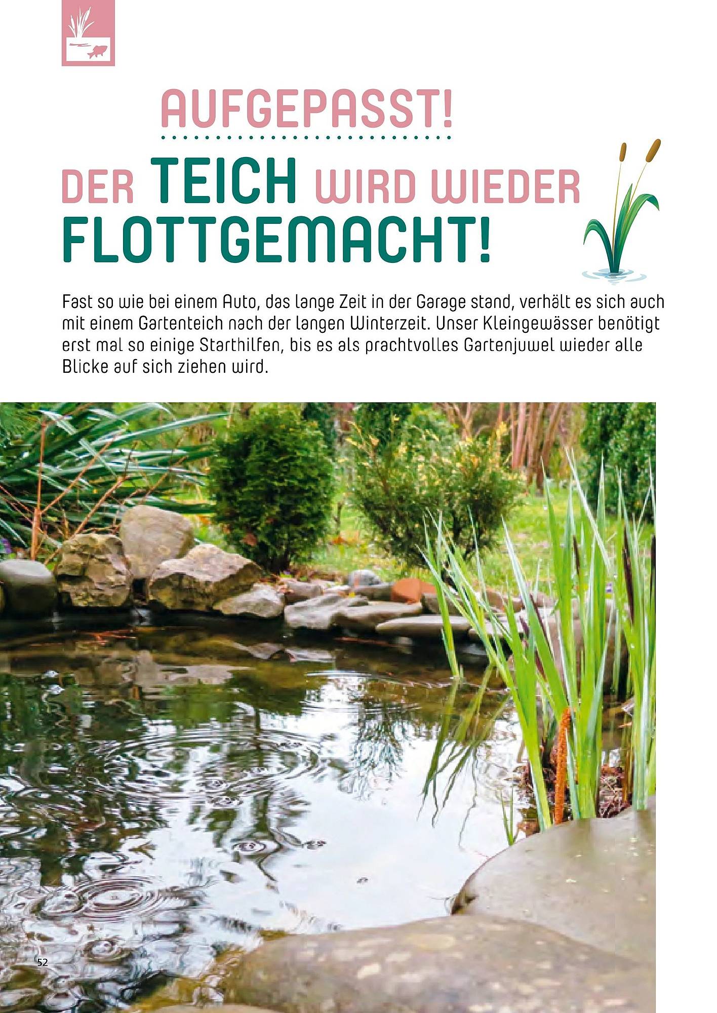 Zoo & Co Magazin – Seite 52