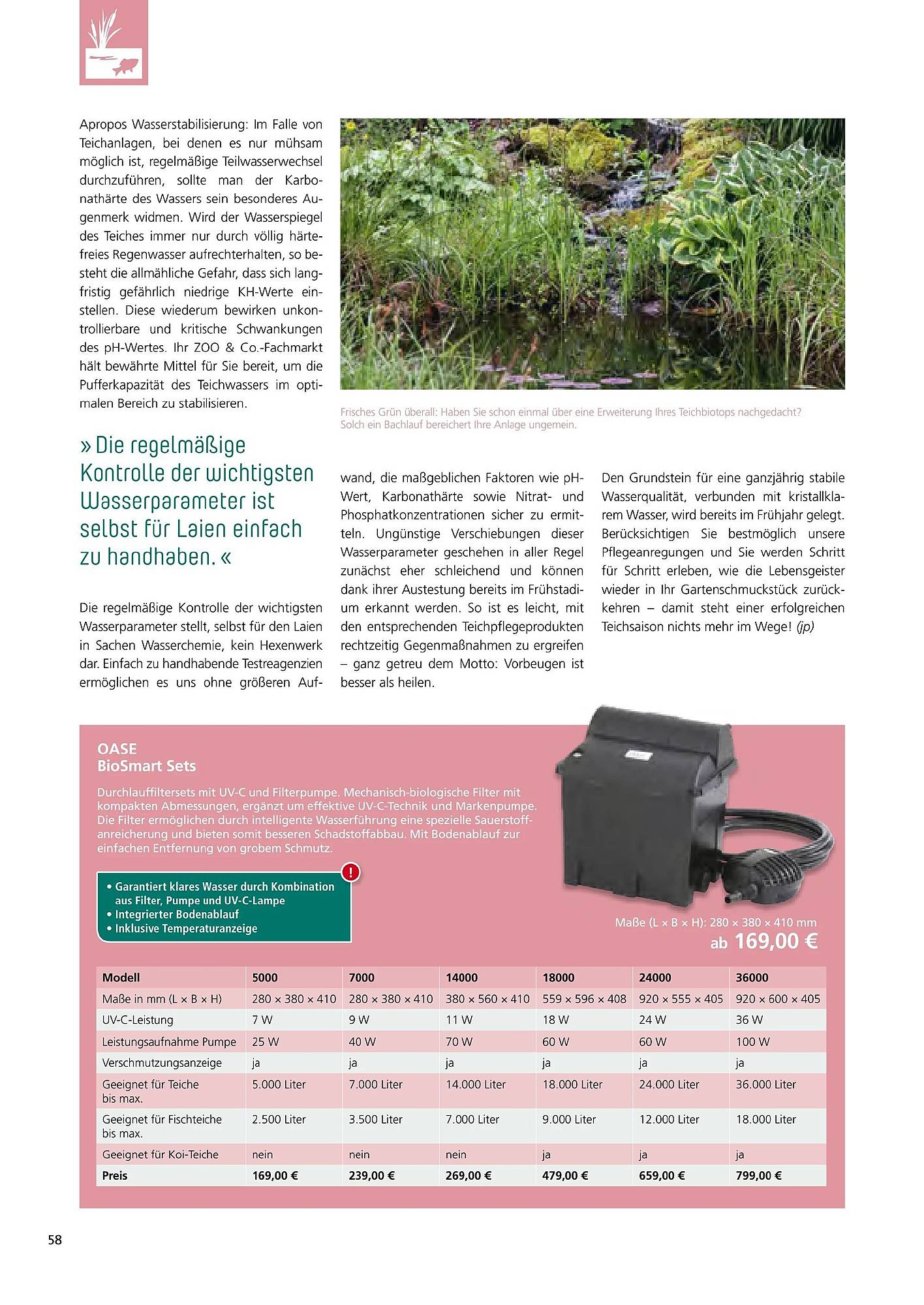 Zoo & Co Magazin – Seite 58