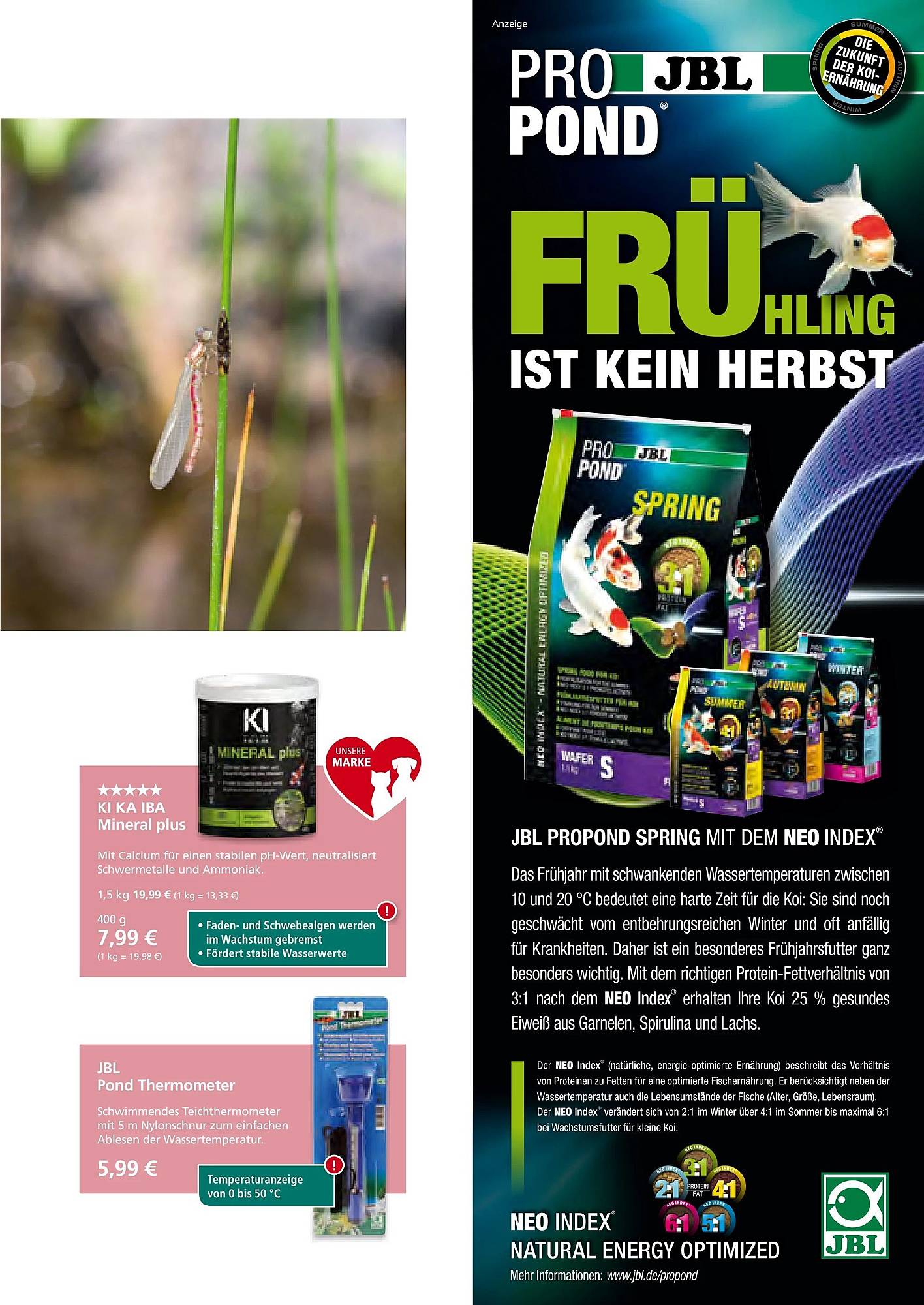 Zoo & Co Magazin – Seite 59