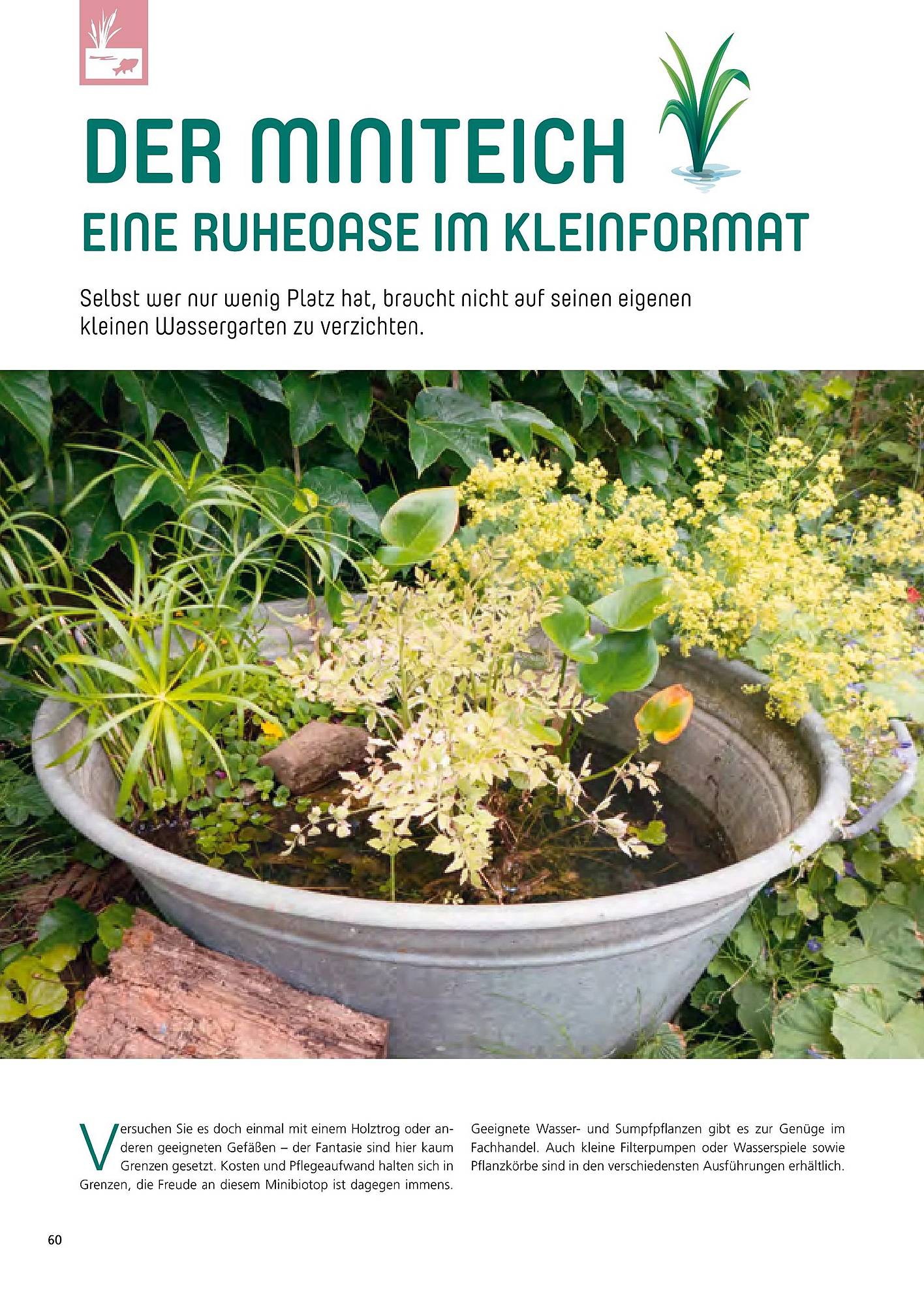 Zoo & Co Magazin – Seite 60