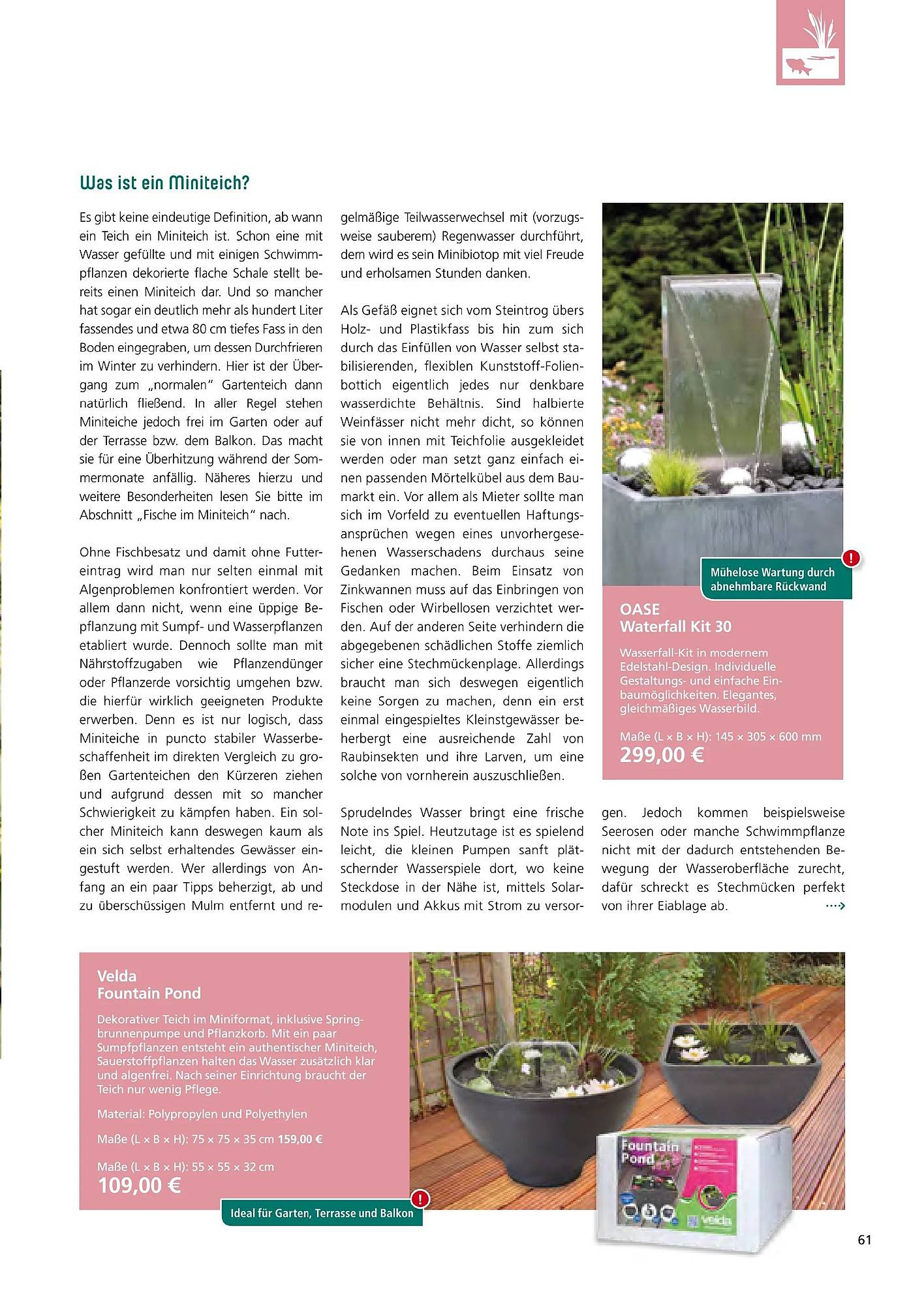 Zoo & Co Magazin – Seite 61