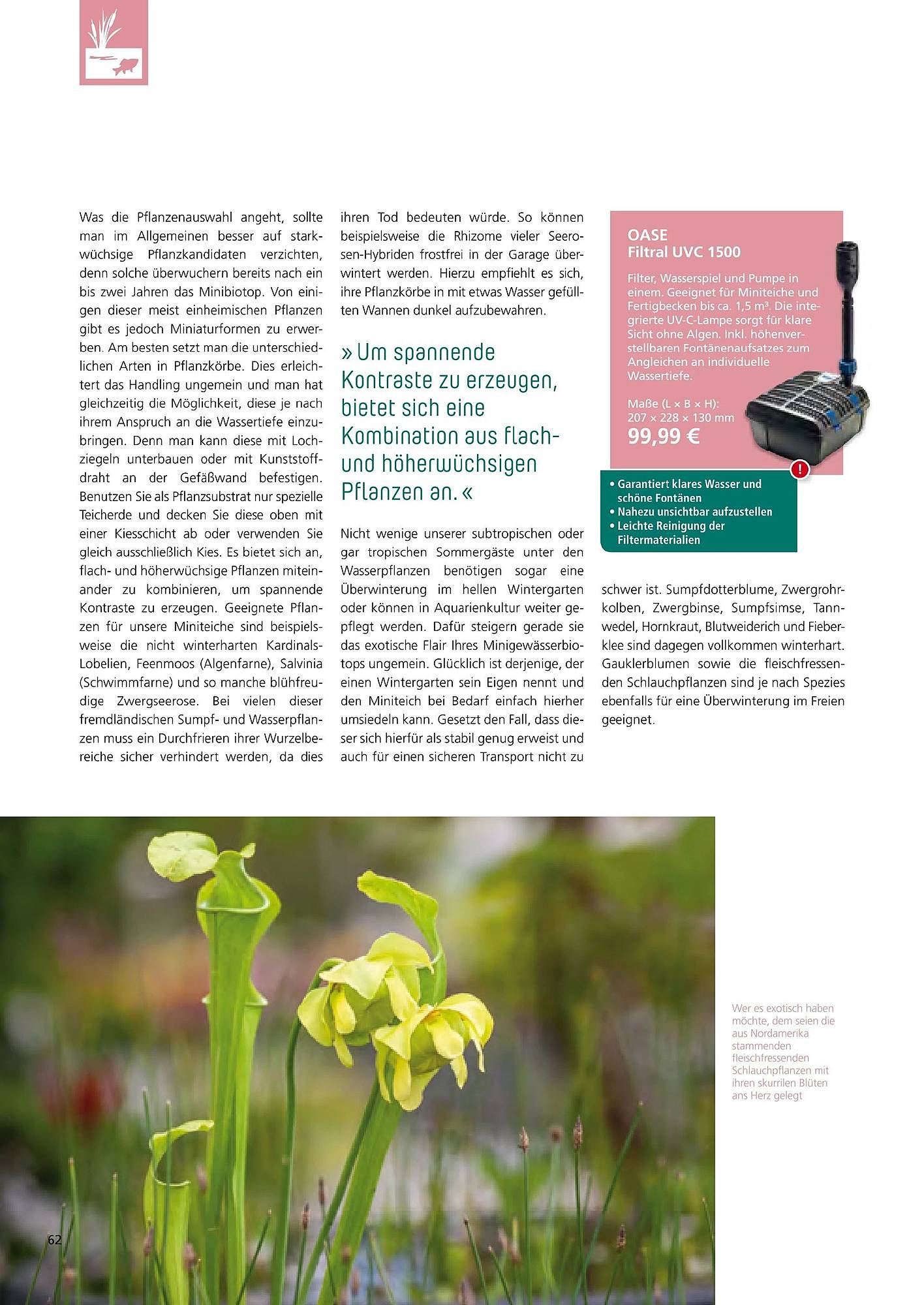 Zoo & Co Magazin – Seite 62