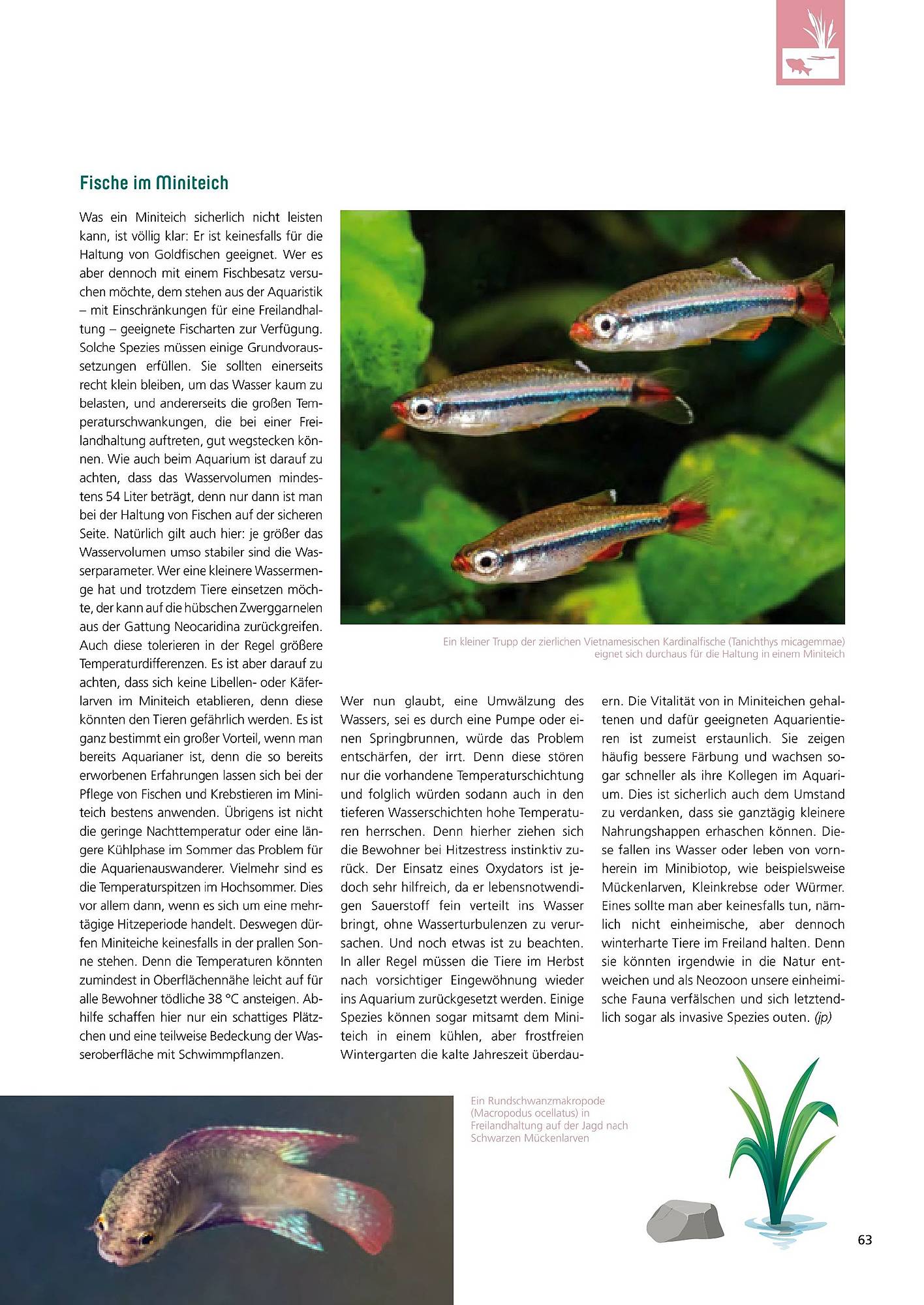 Zoo & Co Magazin – Seite 63