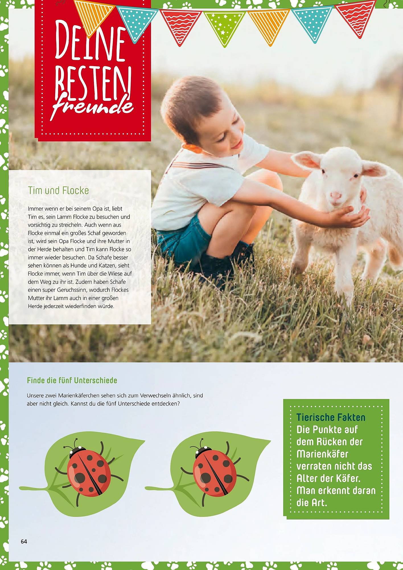 Zoo & Co Magazin – Seite 64