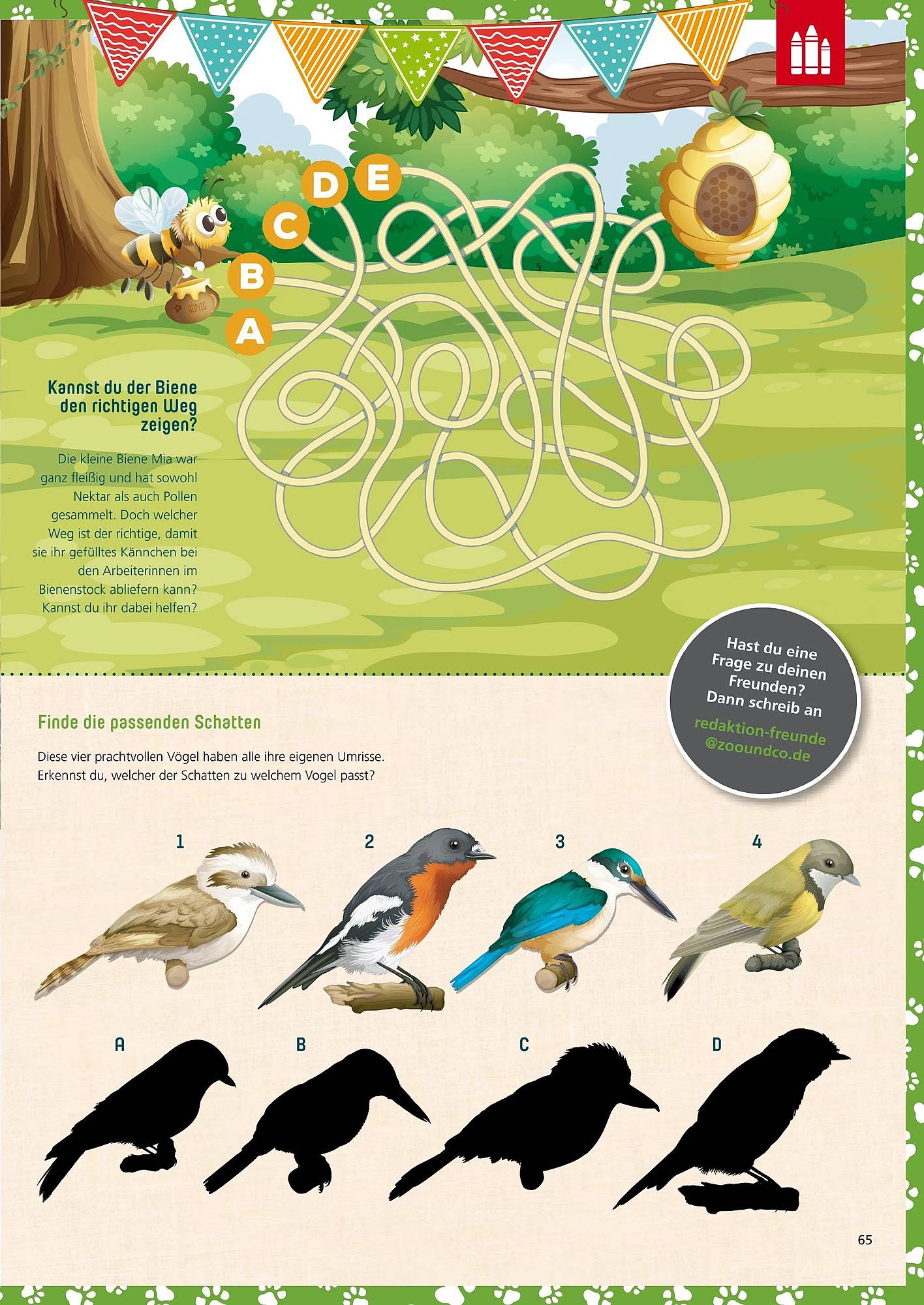 Zoo & Co Magazin – Seite 65